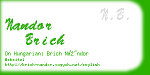 nandor brich business card